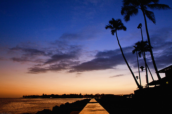 Amber Harbor