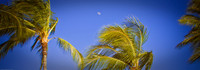 Moonrise in paradise