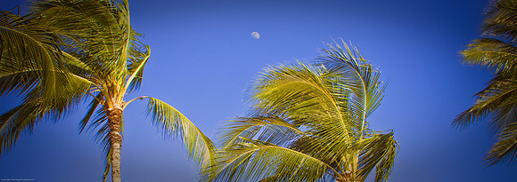 Moonrise in paradise