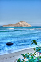 Rabbit Island