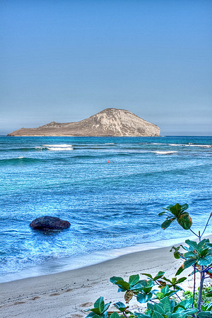 Rabbit Island